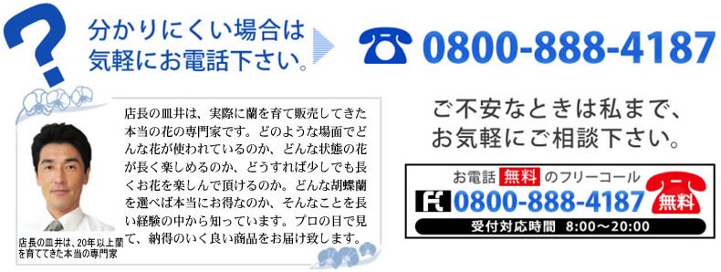 お客様専用フリーコール 0800-888-4187