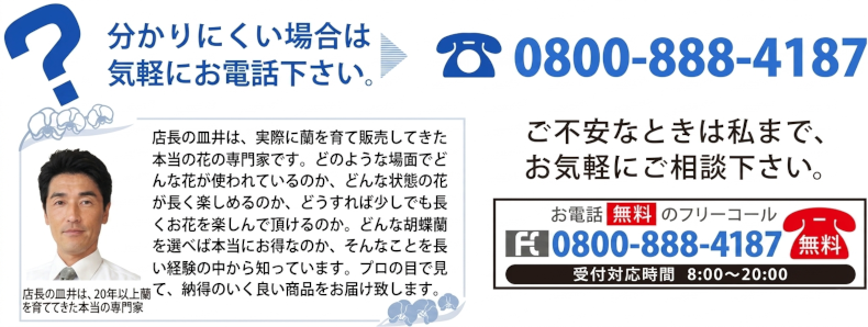 お客様専用フリーコール 0800-888-4187