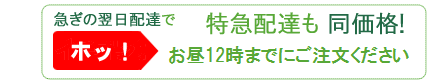 急ぎの翌日配達でホッ！