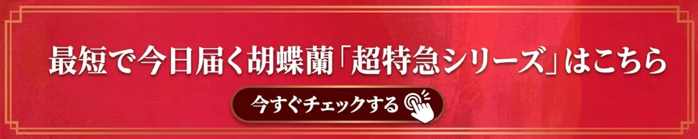 最短で今日届く超特急便シリーズはこちらのページからどうぞ